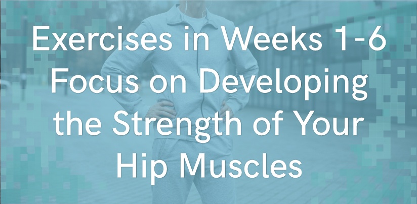 phase 2 hip exercises