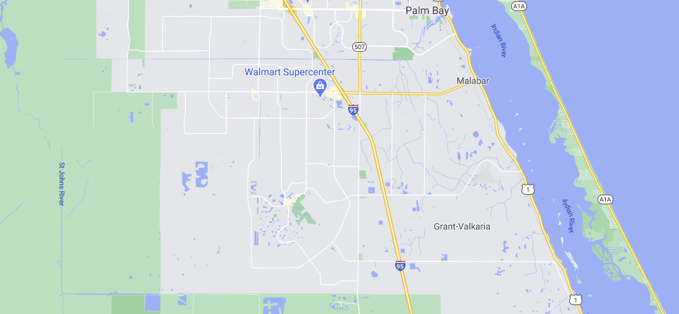 Palm bAY
