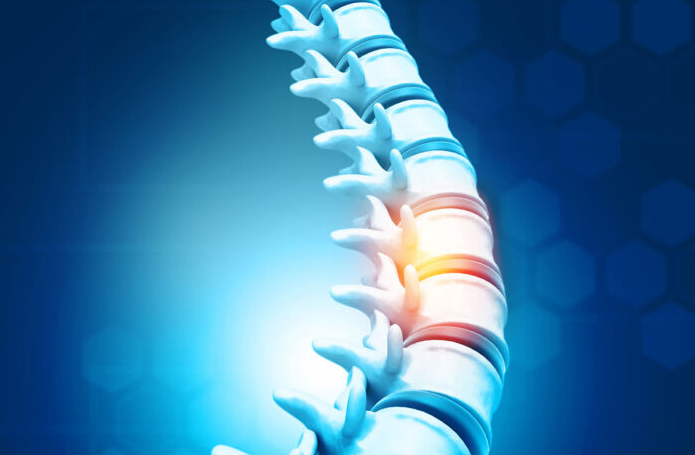 Spinal Cord Injury Patients