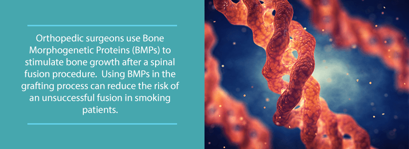 bone morphogenetic proteins