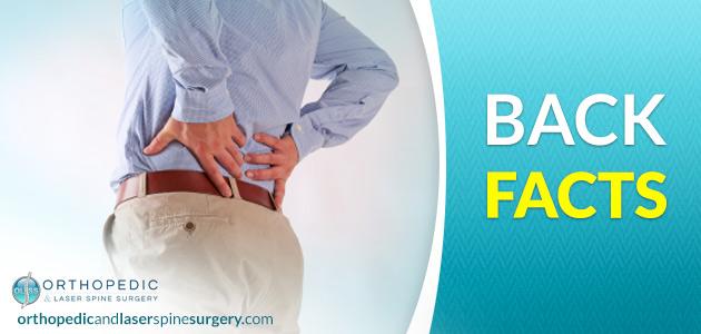 Facts About Back Pain