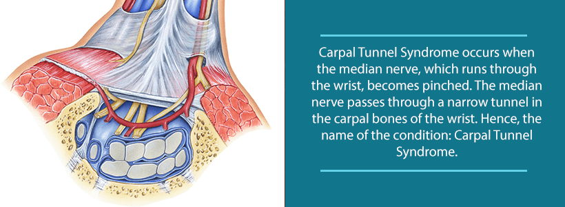the carpal tunnel with median nerve