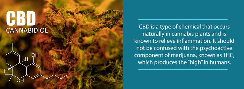 cbd or cannabidiol as a compound