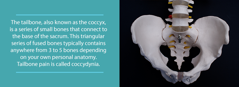 coccyx