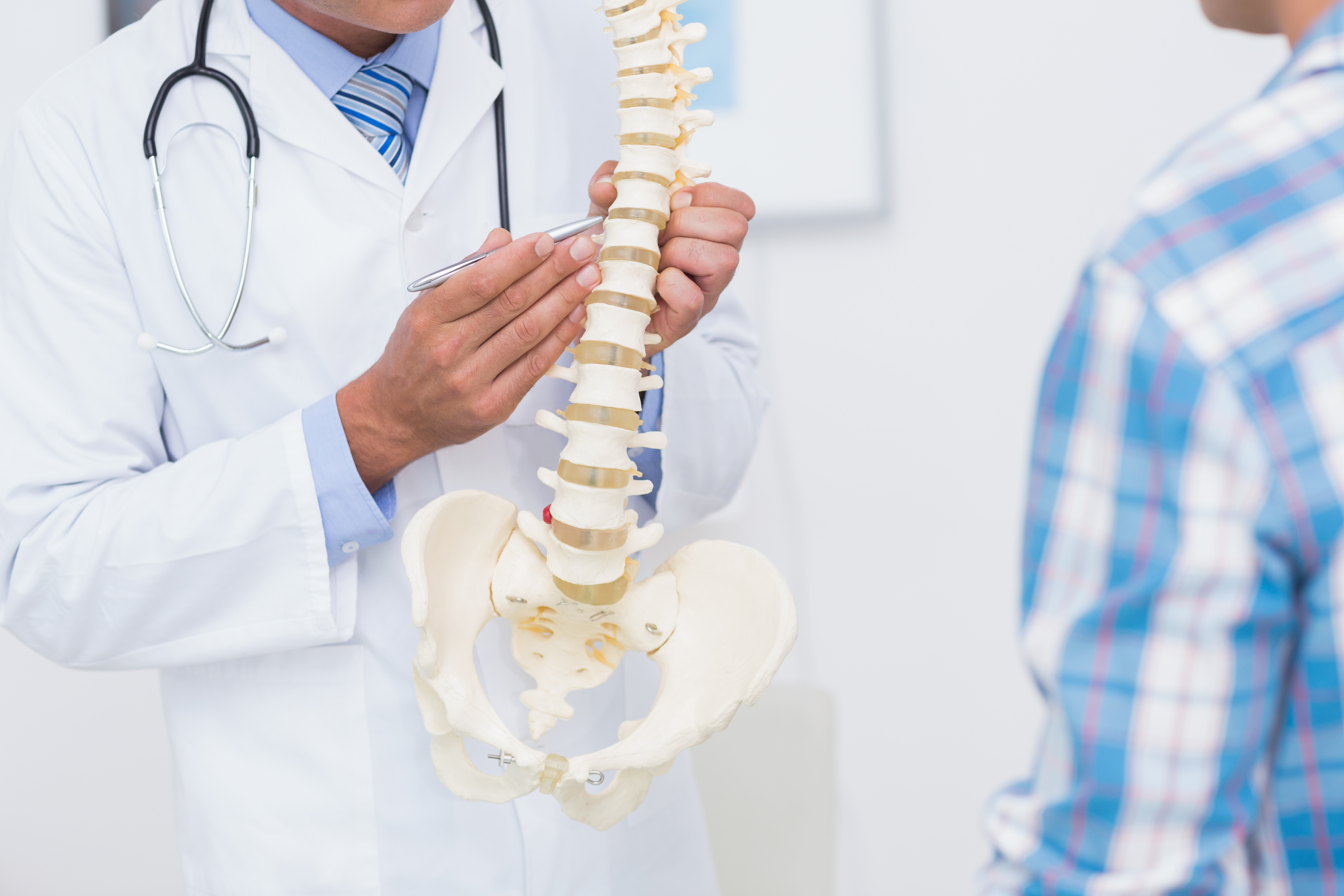 Doctor showing a patient a spine model