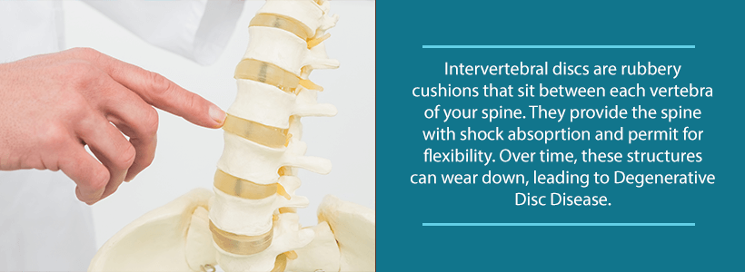 rubbery intervertebral discs