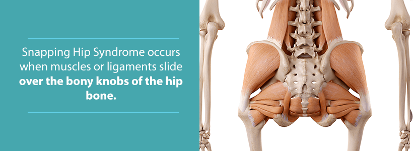 muscles of the hip